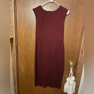 Express Zipper Down Business Dress - Lightly Worn